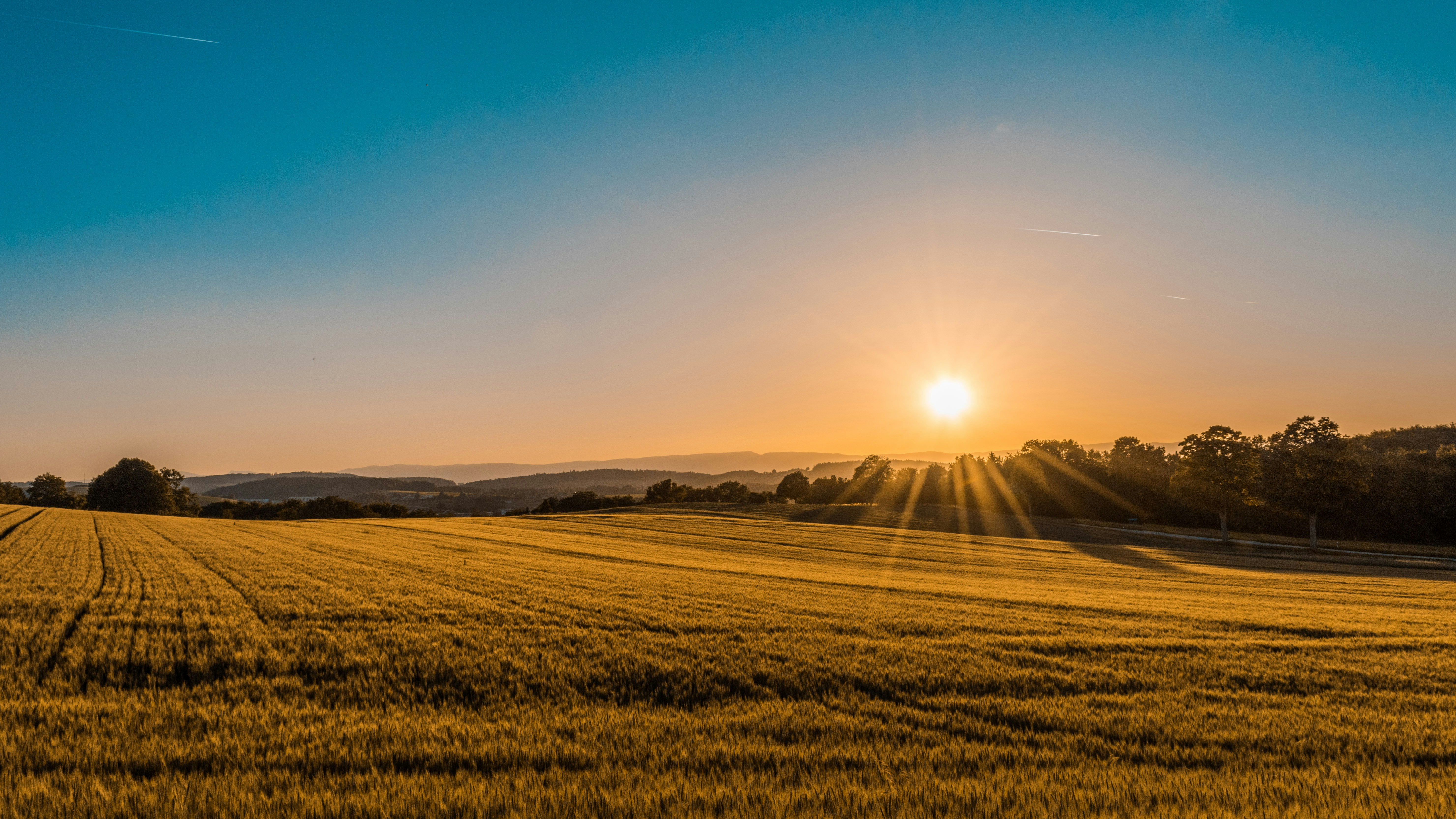 The golden hour at Adavi. Every sunset here tells a story of growth and serenity.